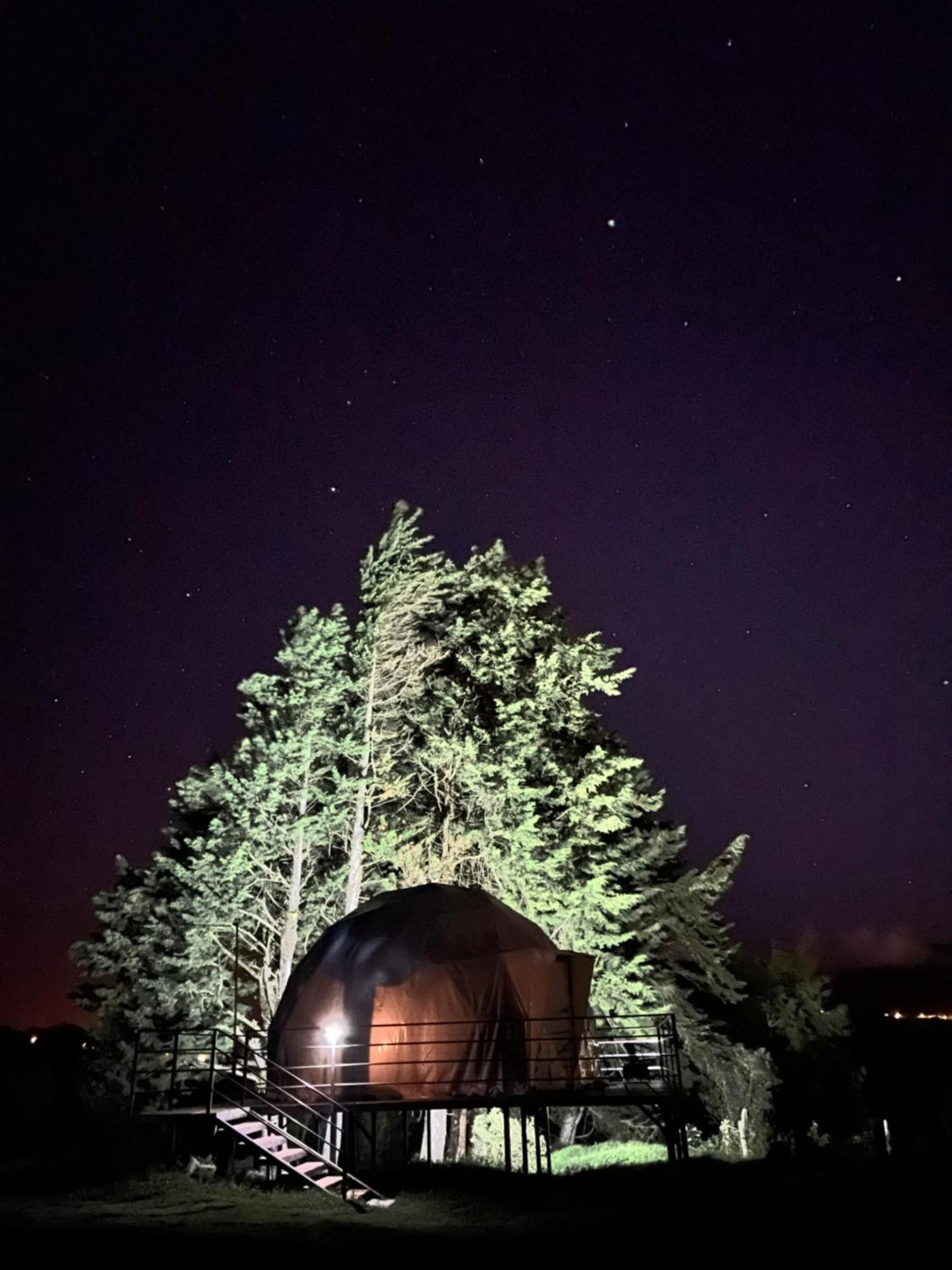 Green Noise Glamping Fraijanes Exterior foto